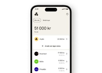 Anyfin Skuldöversikt 2023